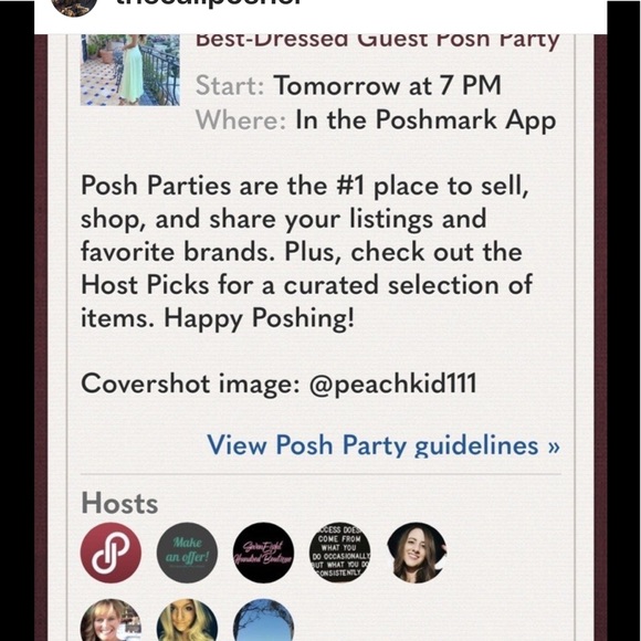 Sunday Best Dresses & Skirts - Co-Hosting Best Dressed Guest 🎉